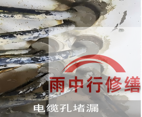 吕梁电缆线空洞堵漏加固案例